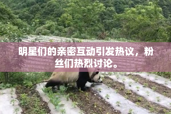 明星们的亲密互动引发热议，粉丝们热烈讨论。