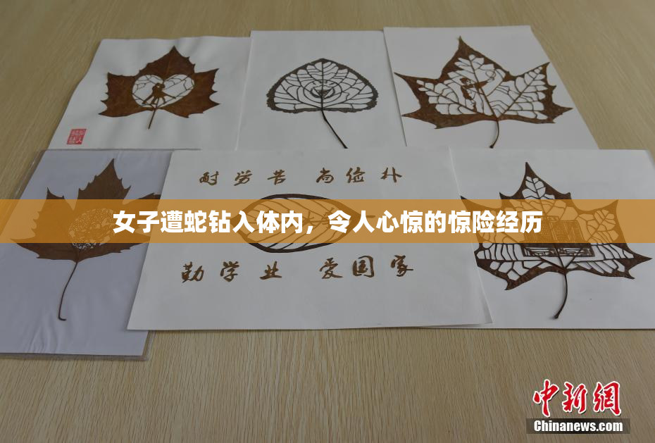 女子遭蛇钻入体内，令人心惊的惊险经历