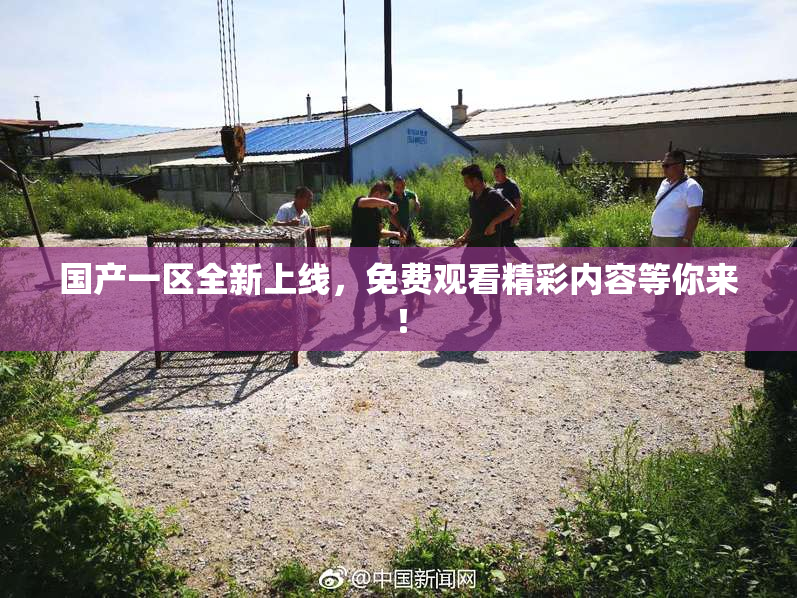 国产一区全新上线，免费观看精彩内容等你来！