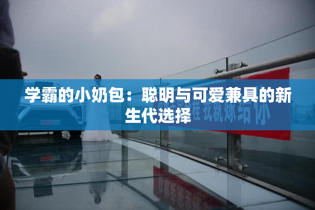 学霸的小奶包：聪明与可爱兼具的新生代选择