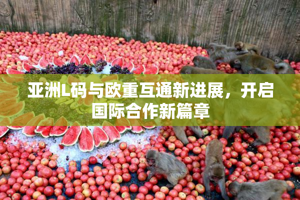 亚洲L码与欧重互通新进展，开启国际合作新篇章