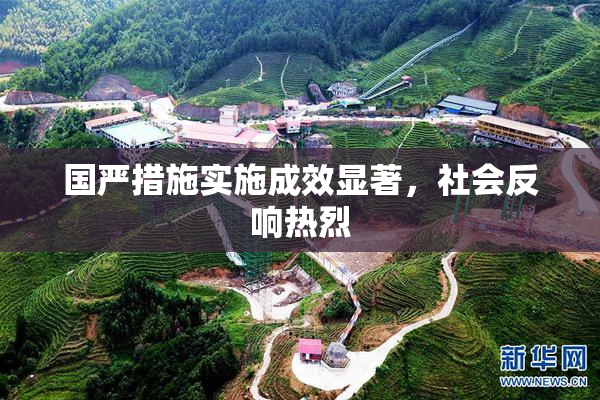 国严措施实施成效显著，社会反响热烈
