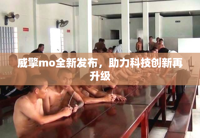威擎mo全新发布，助力科技创新再升级