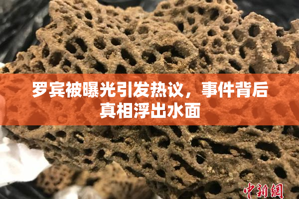 罗宾被曝光引发热议，事件背后真相浮出水面