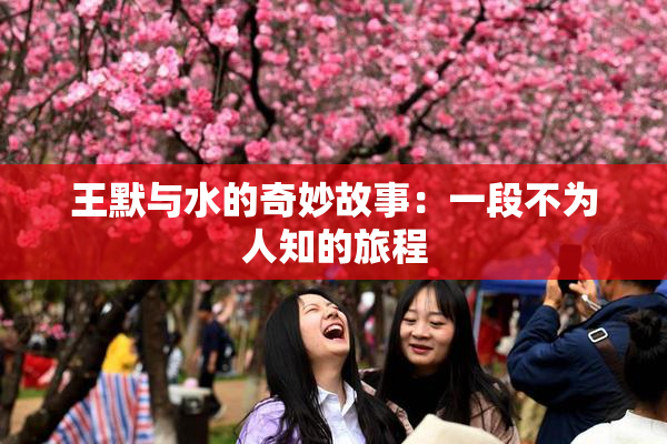 王默与水的奇妙故事：一段不为人知的旅程