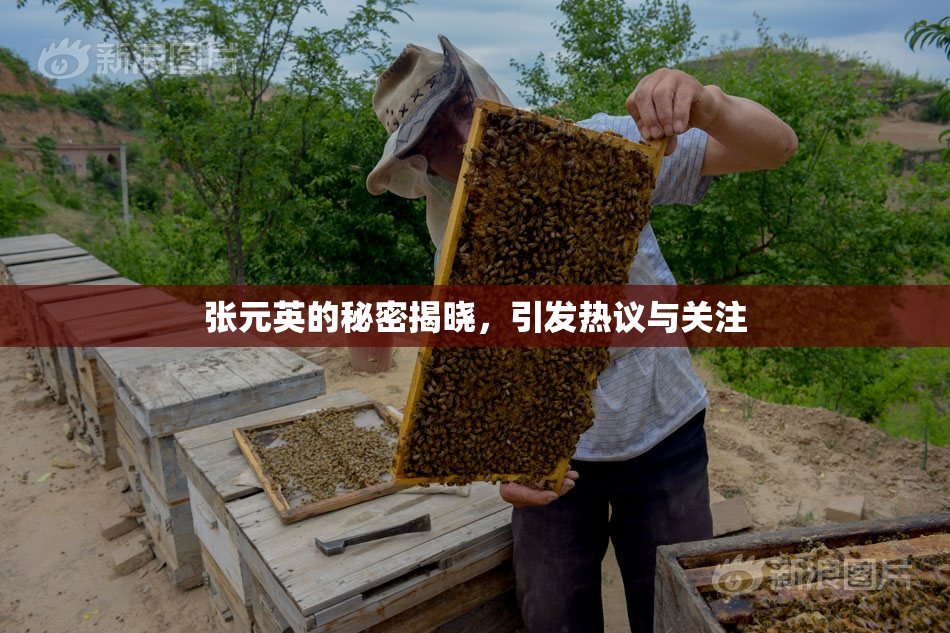张元英的秘密揭晓，引发热议与关注