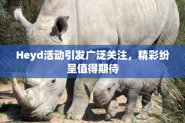 Heyd活动引发广泛关注，精彩纷呈值得期待