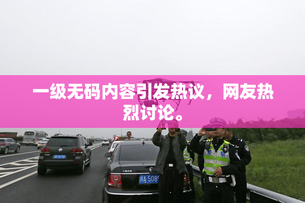 一级无码内容引发热议，网友热烈讨论。