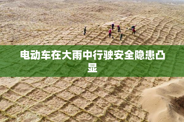 电动车在大雨中行驶安全隐患凸显