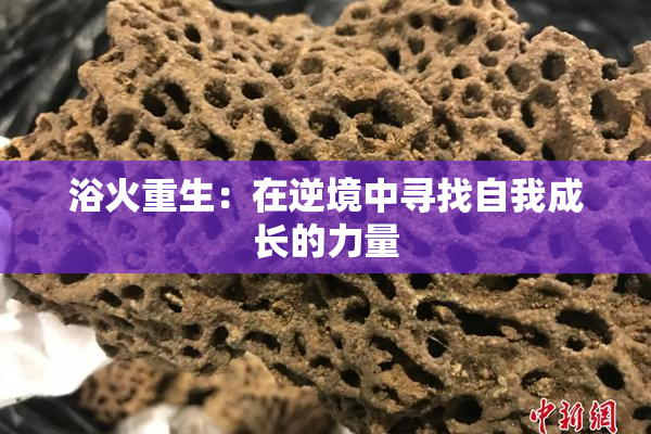 浴火重生：在逆境中寻找自我成长的力量