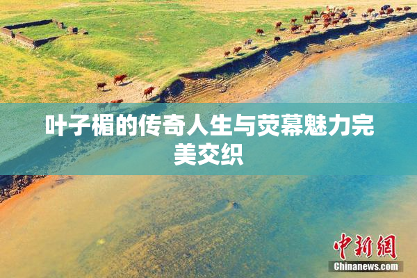 叶子楣的传奇人生与荧幕魅力完美交织