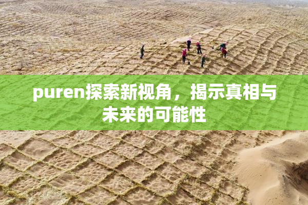 puren探索新视角，揭示真相与未来的可能性