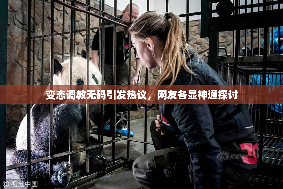 变态调教无码引发热议，网友各显神通探讨