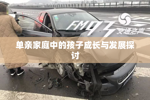 单亲家庭中的孩子成长与发展探讨