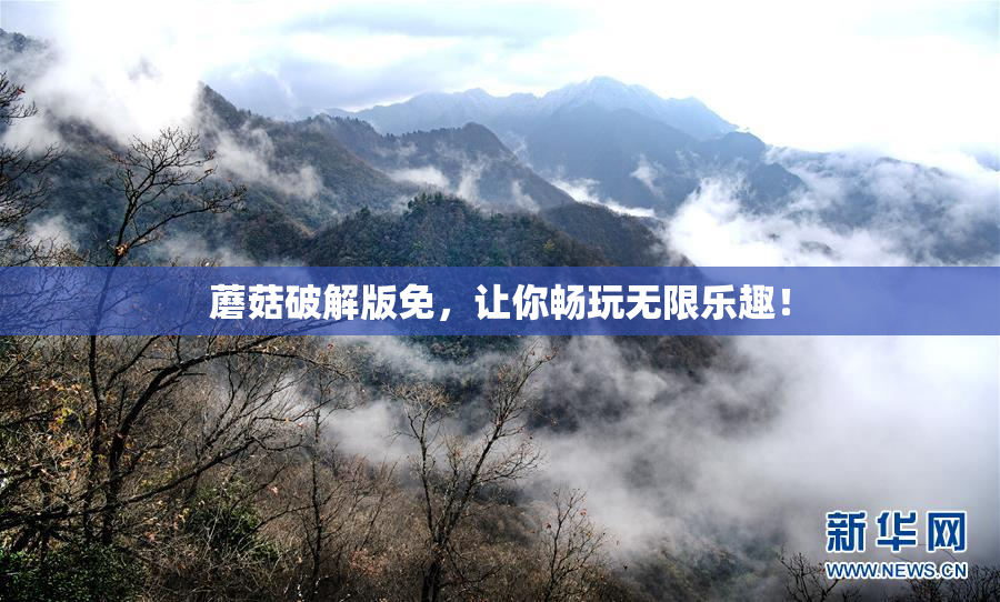 蘑菇破解版免，让你畅玩无限乐趣！
