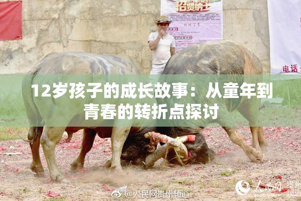 12岁孩子的成长故事：从童年到青春的转折点探讨