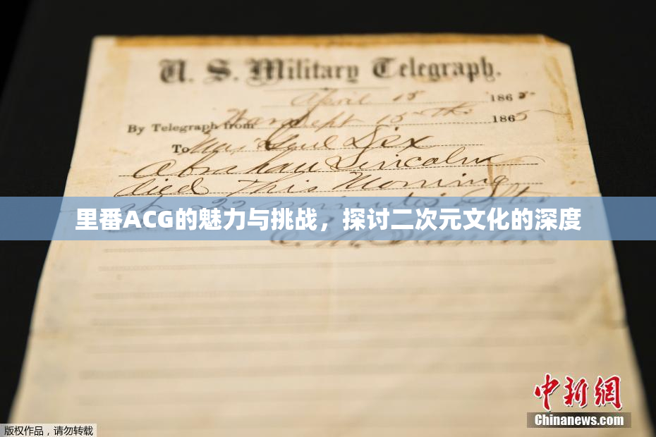 里番ACG的魅力与挑战，探讨二次元文化的深度