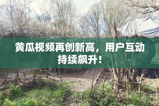 黄瓜视频再创新高，用户互动持续飙升！
