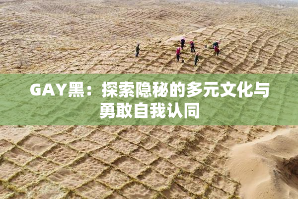 GAY黑：探索隐秘的多元文化与勇敢自我认同