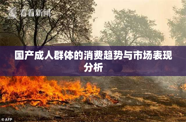 国产成人群体的消费趋势与市场表现分析