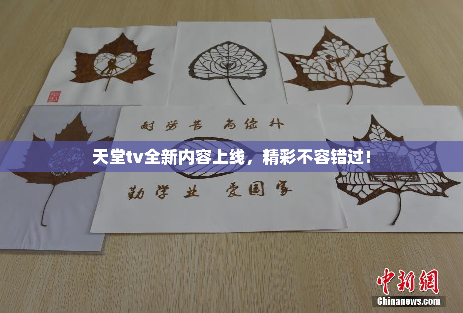 天堂tv全新内容上线，精彩不容错过！