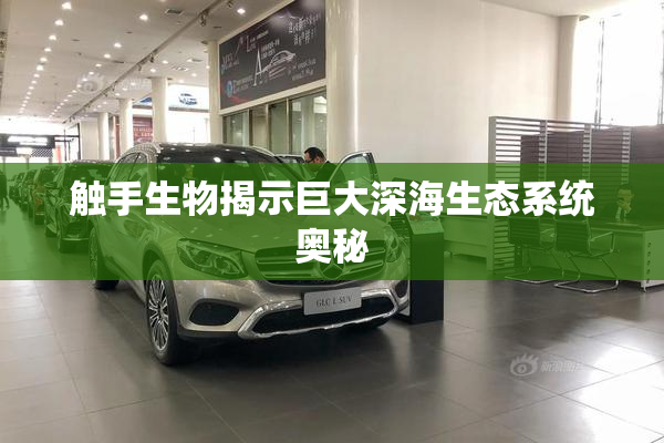 触手生物揭示巨大深海生态系统奥秘