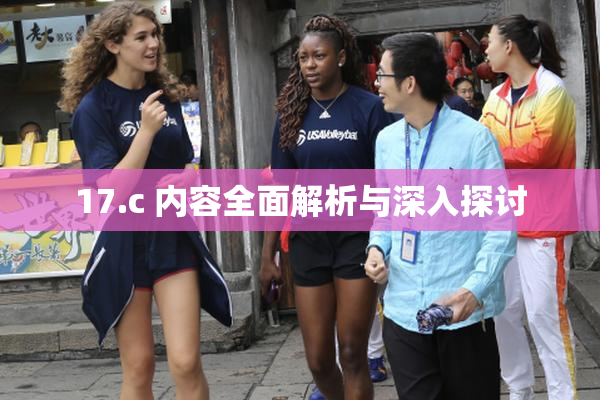 17.c 内容全面解析与深入探讨