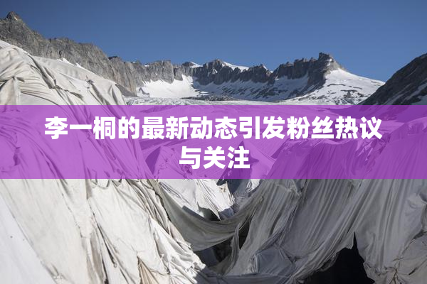 李一桐的最新动态引发粉丝热议与关注