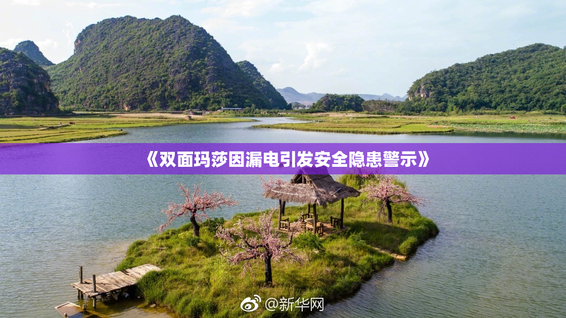 《双面玛莎因漏电引发安全隐患警示》