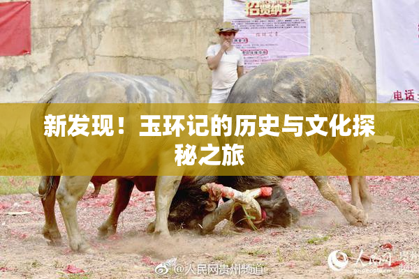 新发现！玉环记的历史与文化探秘之旅