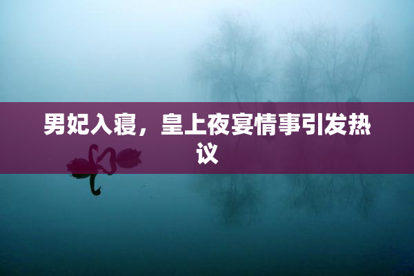 男妃入寝，皇上夜宴情事引发热议