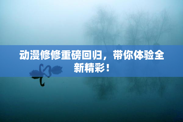 动漫修修重磅回归，带你体验全新精彩！