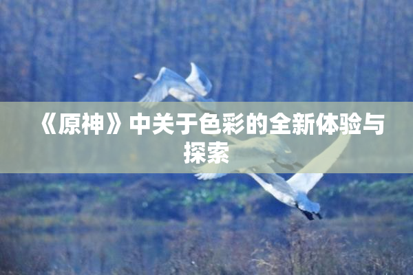 《原神》中关于色彩的全新体验与探索