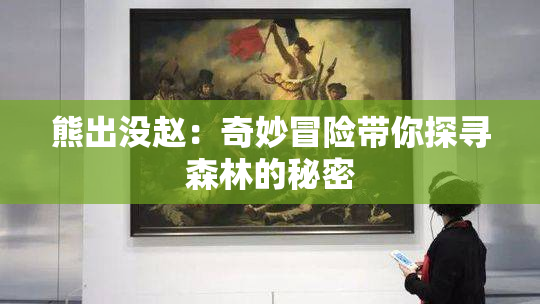 熊出没赵：奇妙冒险带你探寻森林的秘密