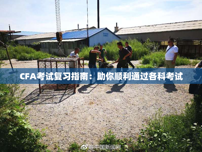 CFA考试复习指南：助你顺利通过各科考试