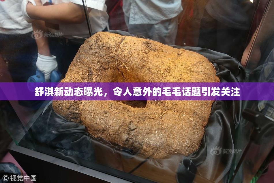 舒淇新动态曝光，令人意外的毛毛话题引发关注