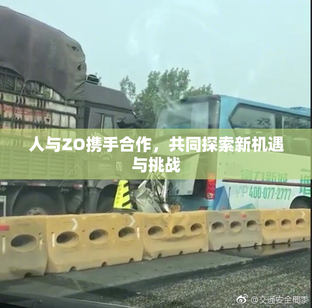 人与ZO携手合作，共同探索新机遇与挑战