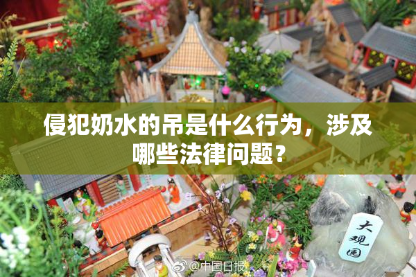 侵犯奶水的吊是什么行为，涉及哪些法律问题？