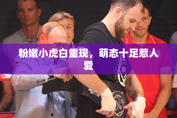 粉嫩小虎白重现，萌态十足惹人爱