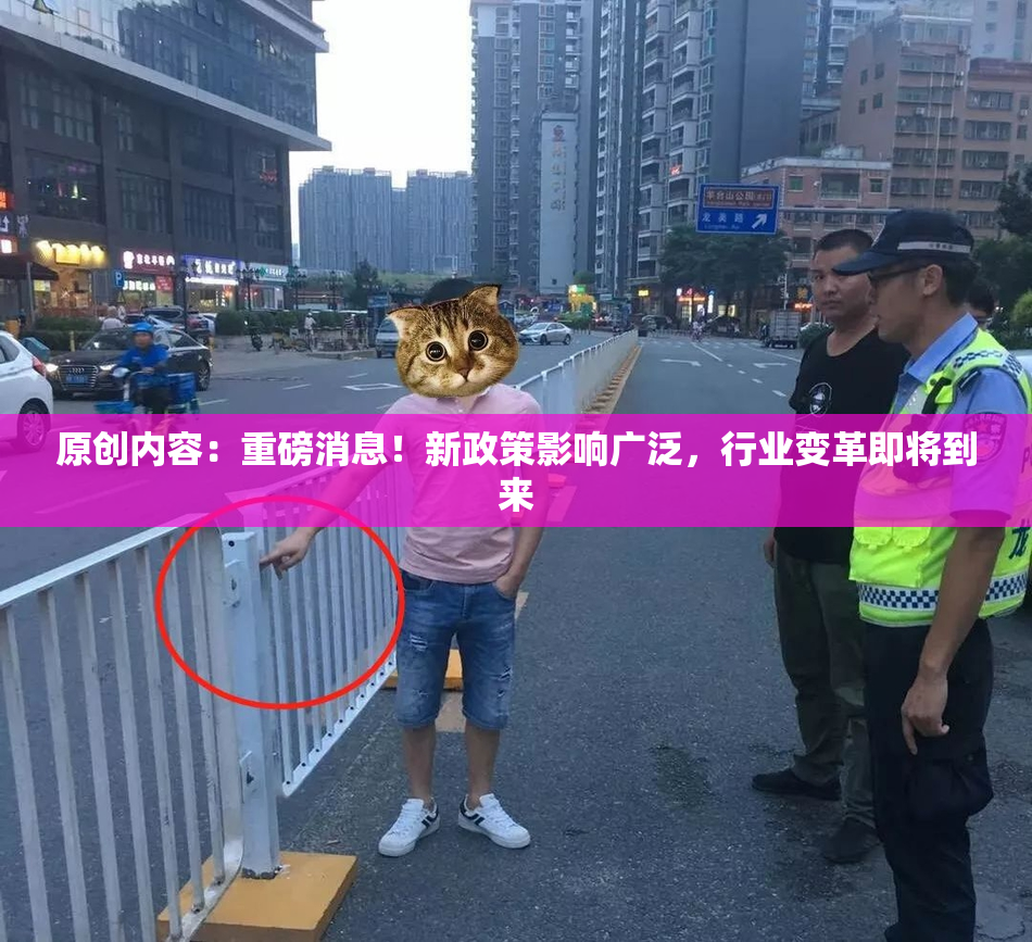原创内容：重磅消息！新政策影响广泛，行业变革即将到来