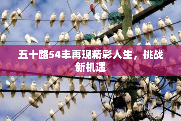 五十路54丰再现精彩人生，挑战新机遇