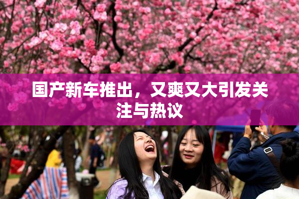国产新车推出，又爽又大引发关注与热议