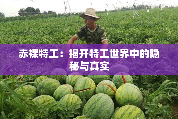 赤裸特工：揭开特工世界中的隐秘与真实