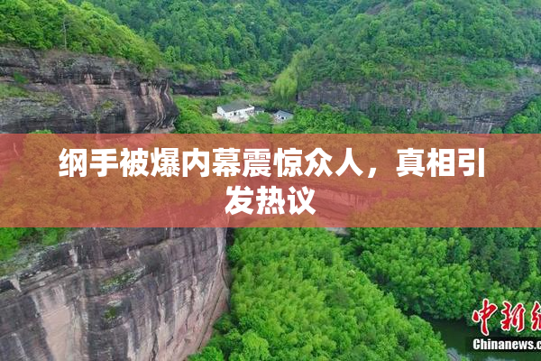纲手被爆内幕震惊众人，真相引发热议