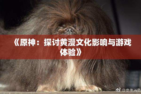 《原神：探讨黄漫文化影响与游戏体验》