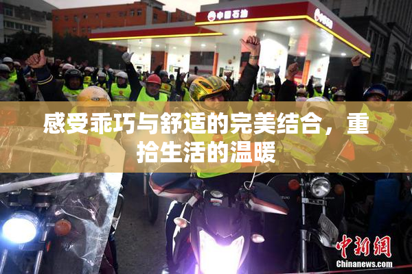 感受乖巧与舒适的完美结合，重拾生活的温暖