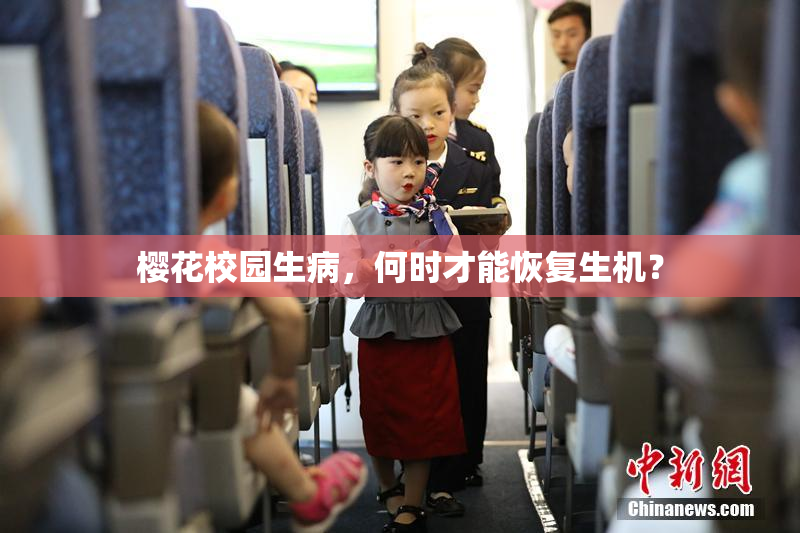 樱花校园生病，何时才能恢复生机？