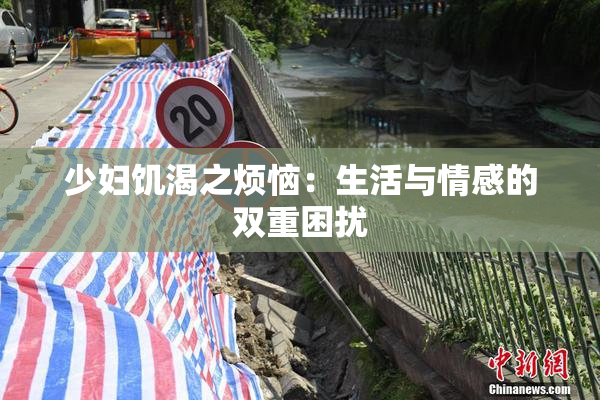 少妇饥渴之烦恼：生活与情感的双重困扰