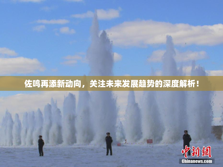 佐鸣再添新动向，关注未来发展趋势的深度解析！