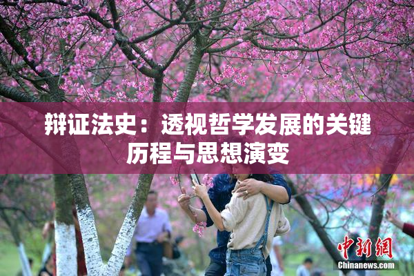 辩证法史：透视哲学发展的关键历程与思想演变